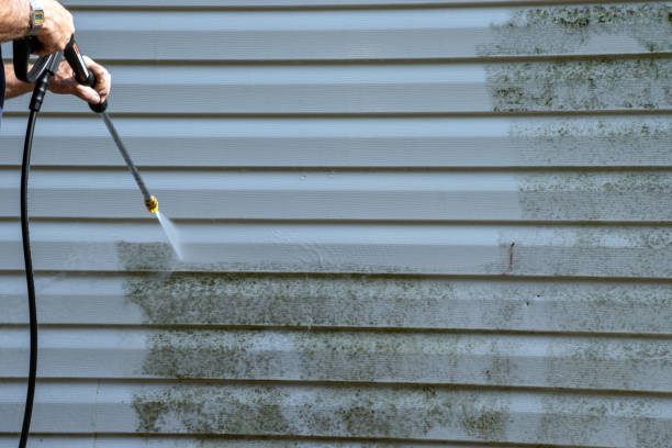 Best Yard Waste Removal  in Lake Lotawana, MO