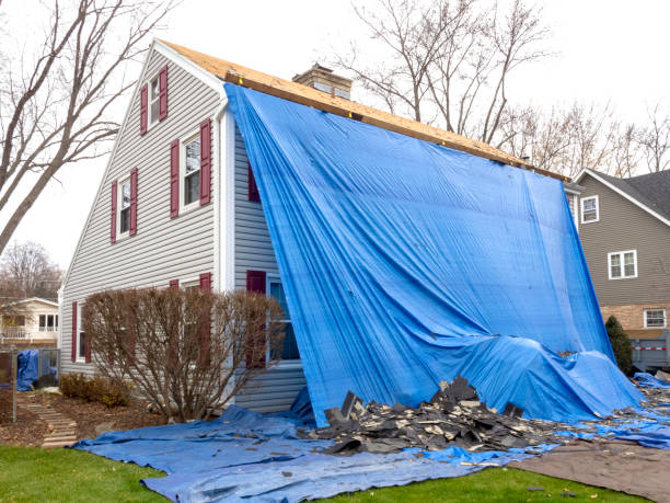 Best Attic Cleanout  in Lake Lotawana, MO